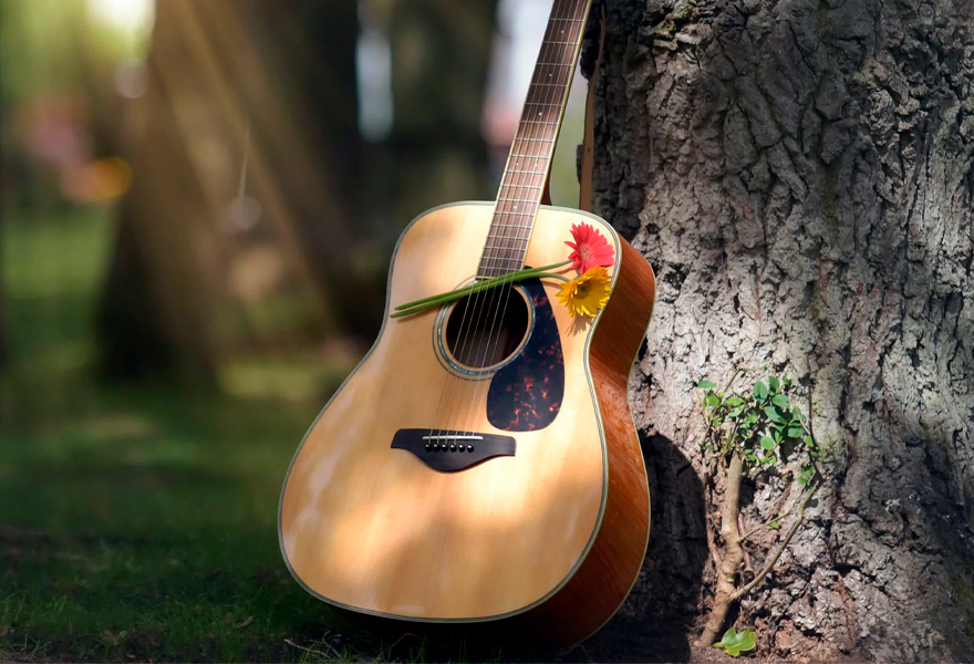 А ты как желтый лист увянешь слушать. Дерево для гитары. Гитара в лесу. Музыка природы. Акустическая гитара обои.